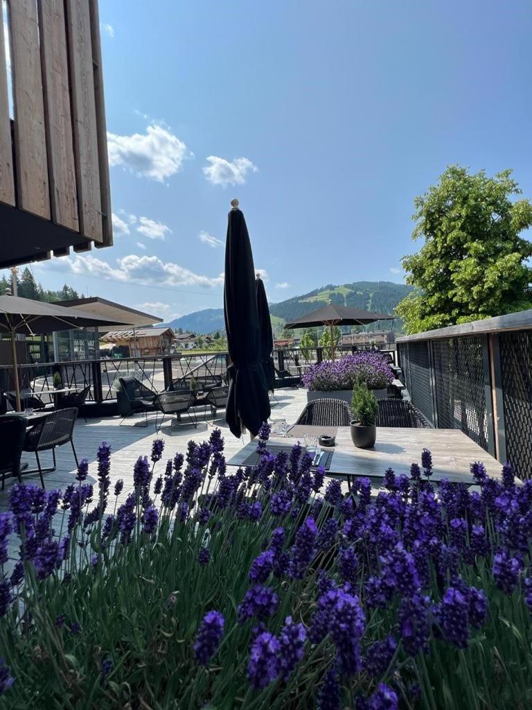 Almmonte Praeclarum Suites Design Hotel Wagrain Exteriör bild
