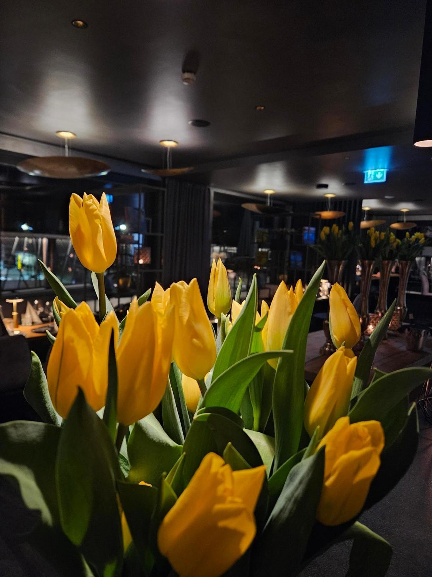 Almmonte Praeclarum Suites Design Hotel Wagrain Exteriör bild